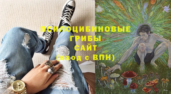 не бодяженный Богородск