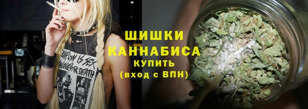 2c-b Богородицк