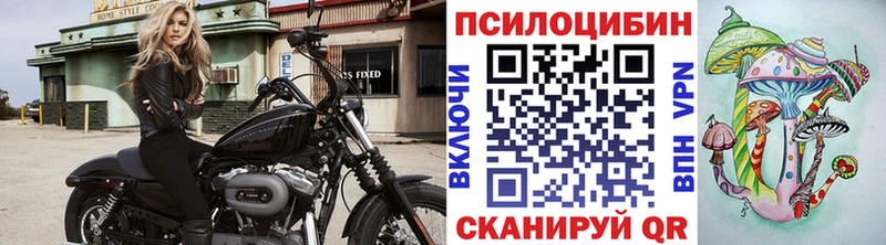 Псилоцибиновые грибы прущие грибы  Оха 