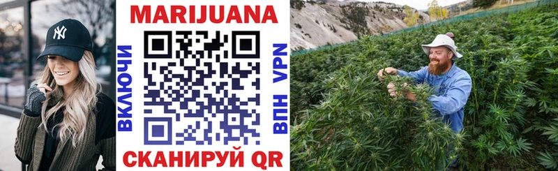 Бошки Шишки план это Telegram Оха